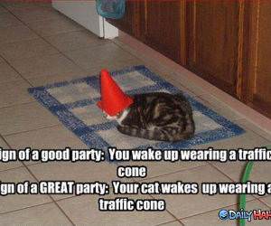 Awesome Party funny picture
