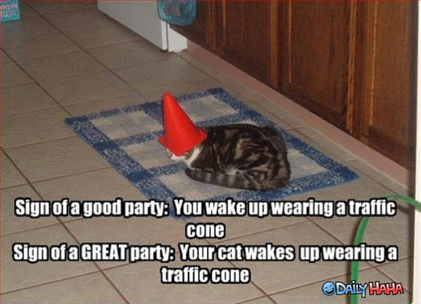 Awesome Party funny picture