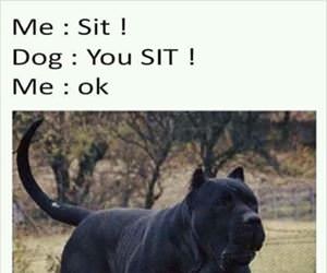 sit no you sit