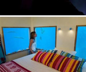 sleep with the fishes funny picture