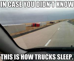 sleeping trucks funny picture