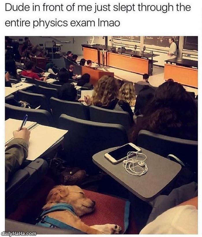 slept through the entire exam funny picture