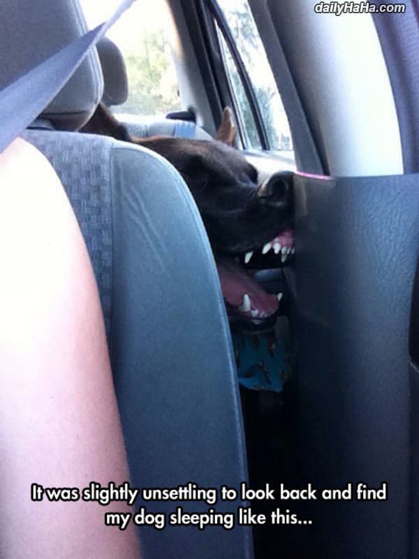 slightly unsettling funny picture