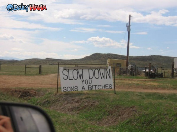 Slow Down funny picture