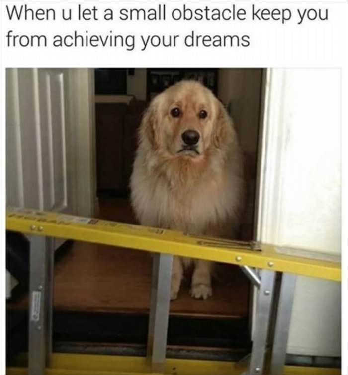 small obstacles are a problem