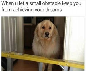 small obstacles are a problem