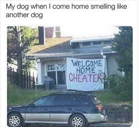 smelling like another dog ... 2