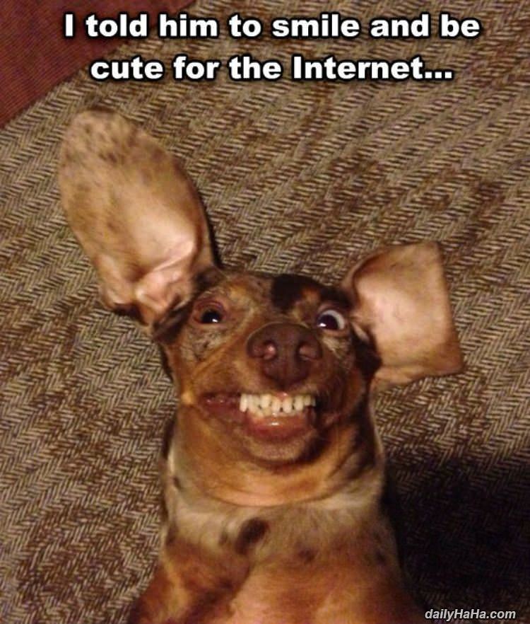 smile and be cute funny picture