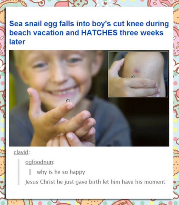 snail eggs funny picture