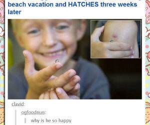 snail eggs funny picture