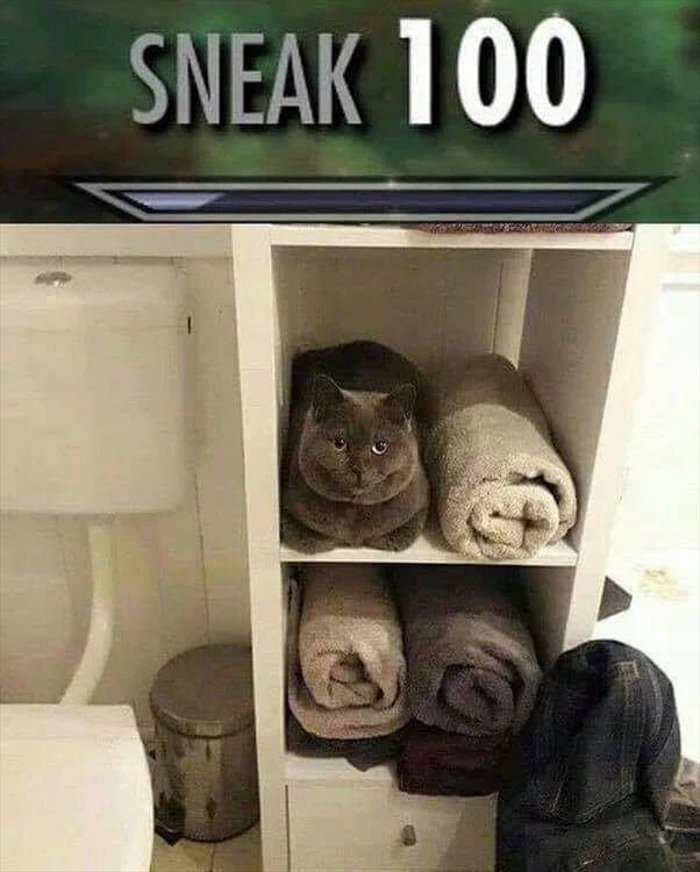 sneak 100