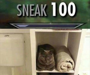 sneak 100