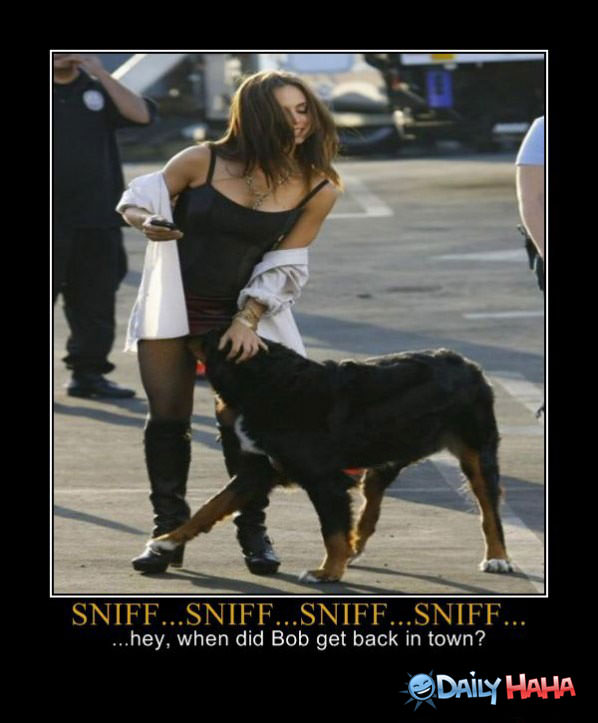 Sniff Sniff Sniff funny picture