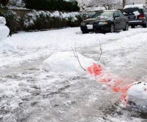 Snowman Crossed the Road funny picture