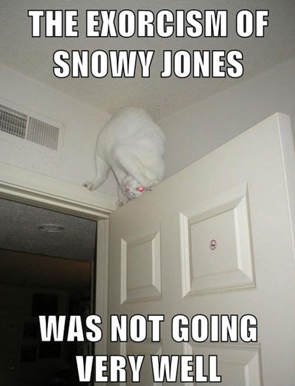 Snowy Jones funny picture