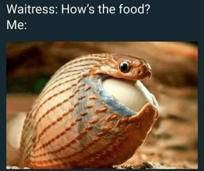 so how is the food