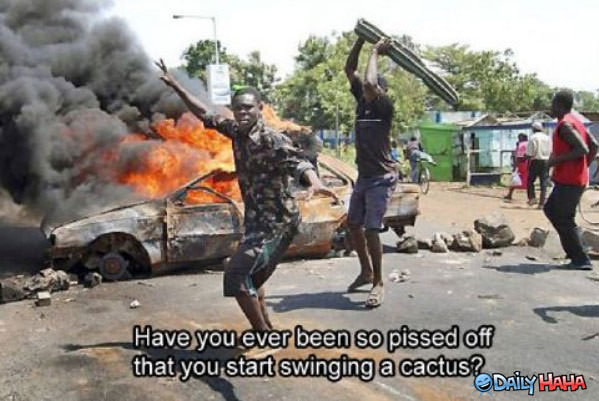 So Pissed funny picture