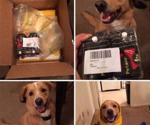 so excited for the rain funny picture