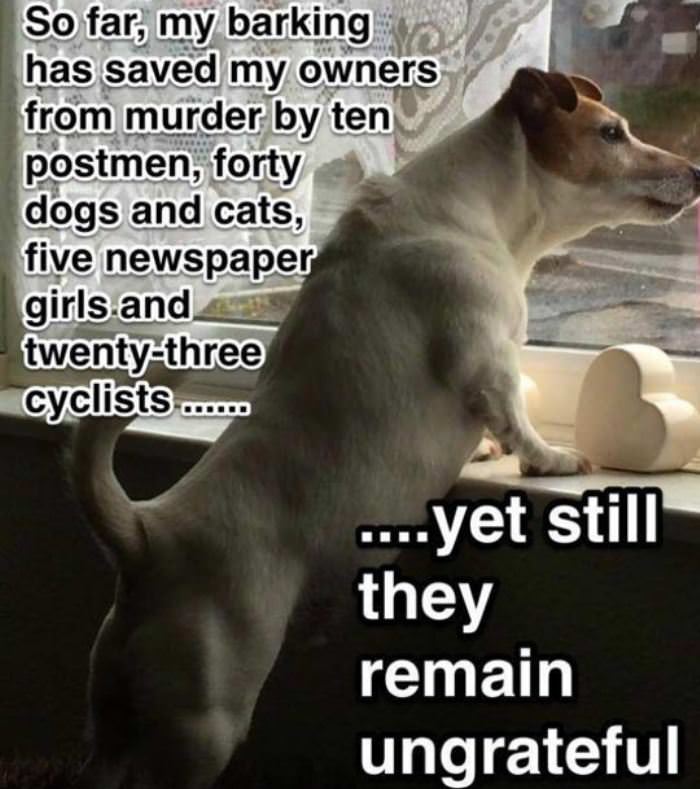 so far funny picture