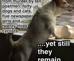 so far funny picture