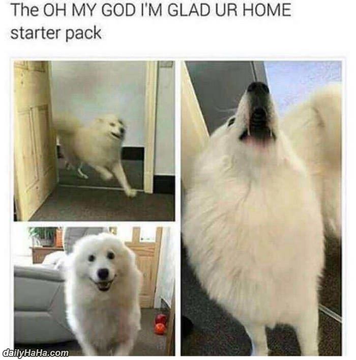 so glad you are home funny picture
