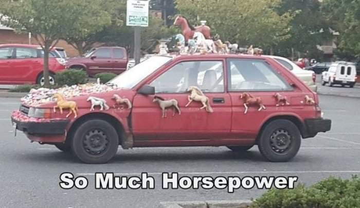 so much horsepower funny picture