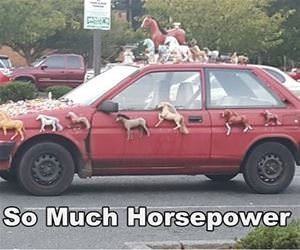 so much horsepower funny picture