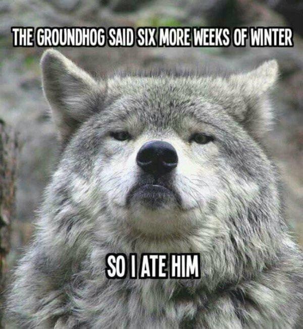 so sick of winter funny picture