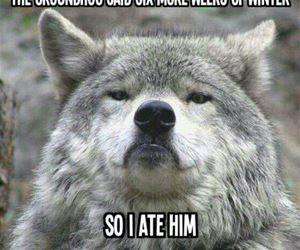 so sick of winter funny picture