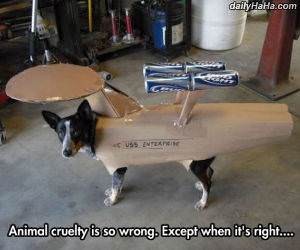 so wrong except funny picture