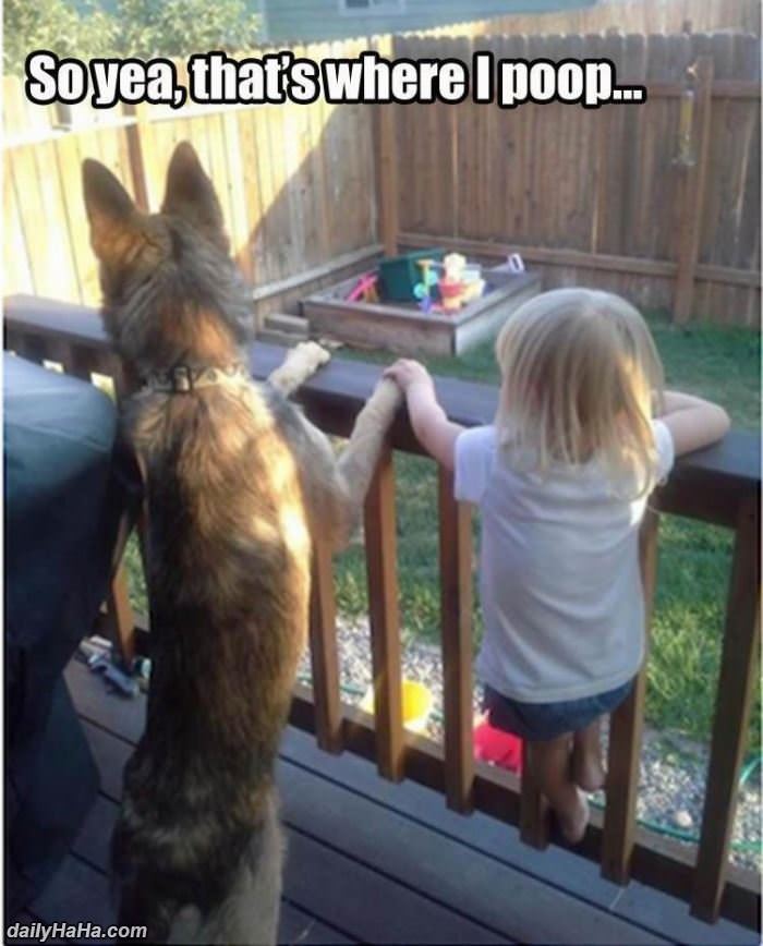 so yea this is it funny picture