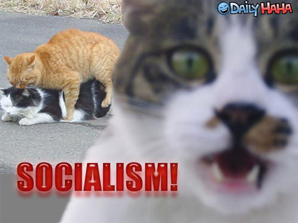 Socialism - Picture