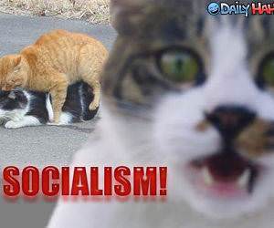 Socialism - Picture