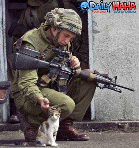 Soldier petting a kitten.
