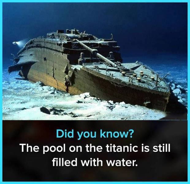 a cool fact