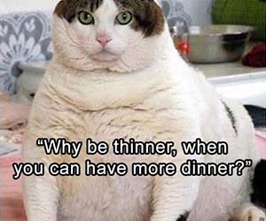 When you can have more dinner