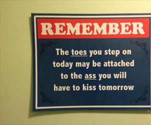 some life advice ... 2