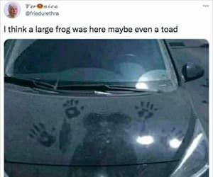 some sort of large frog