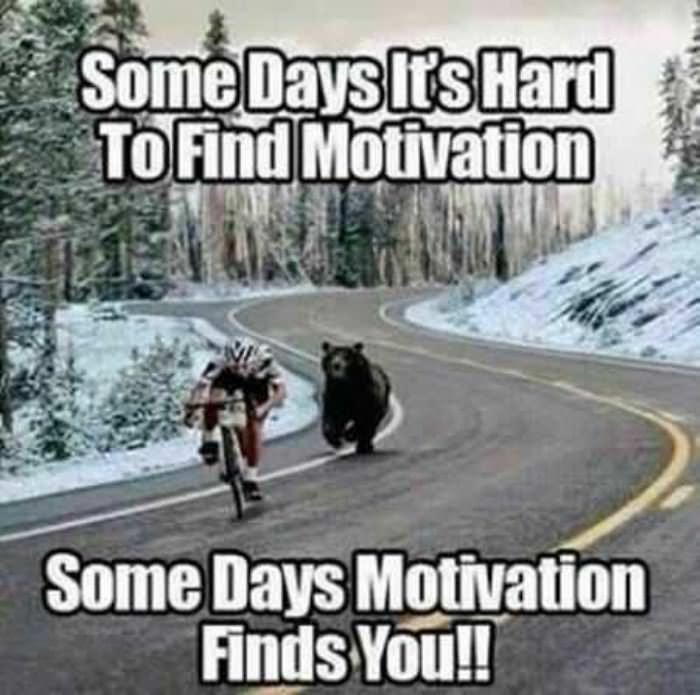 some days its hard to find motivation