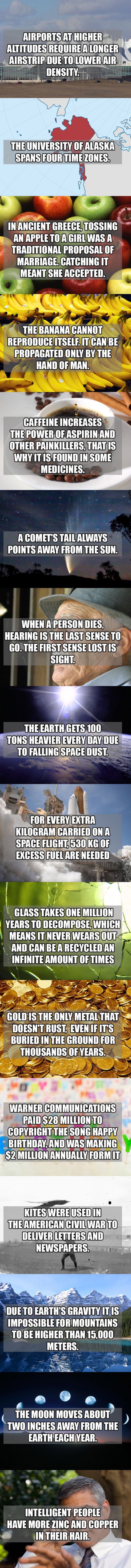 some fun facts funny picture