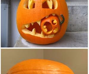 some fun pumpkins part 2 funny picture