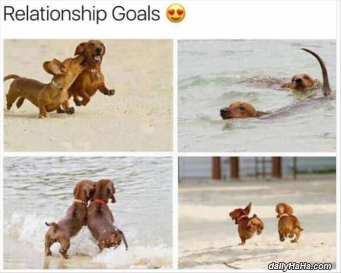 some good relationship goals funny picture