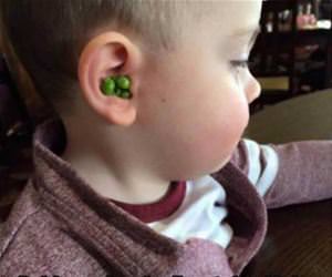some peas and quiet funny picture