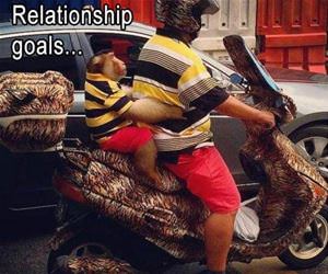 some relationship goals funny picture