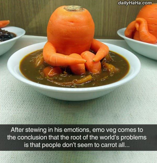 some stewing funny picture