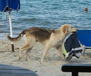 someone is having a bad day