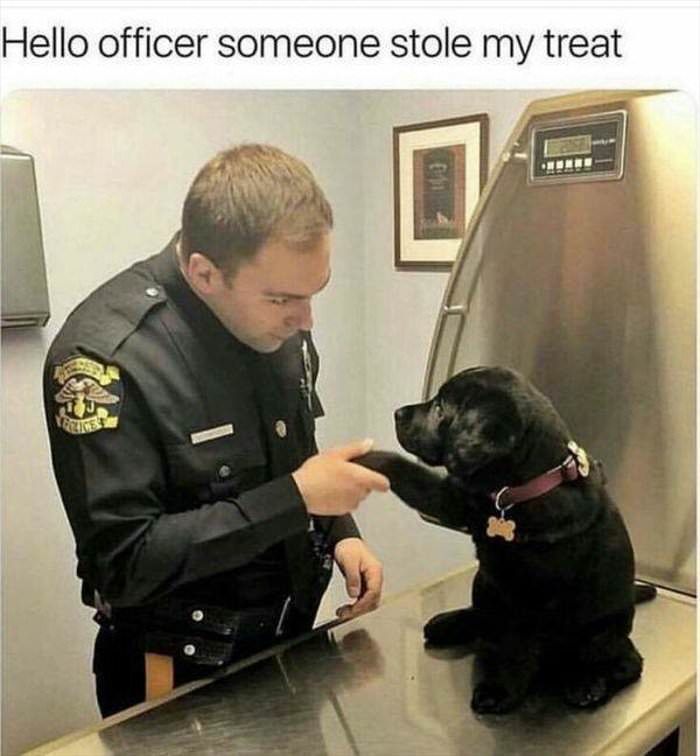 someone stole my treat