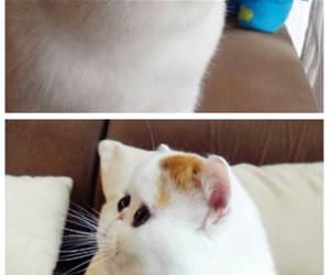 instructions funny picture