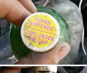 someone screwed up funny picture