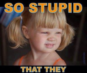 someone so stupid funny picture